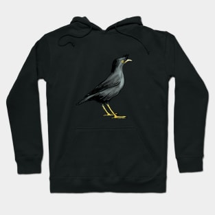 Crested Myna Hoodie